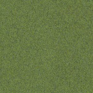 Heuga 727 "4122306 Fern" (PD)