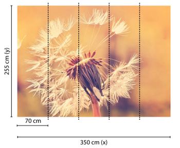 Fototapety Dandelion1 DD118594 A.S. Création Designwalls