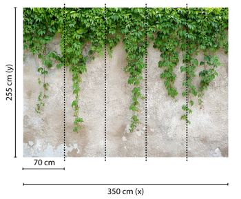 Fototapety ClimbingLeaves DD118712 A.S. Création Designwalls