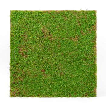 Flora nature design "Světle Zelený Kokos" |52 x 52 cm