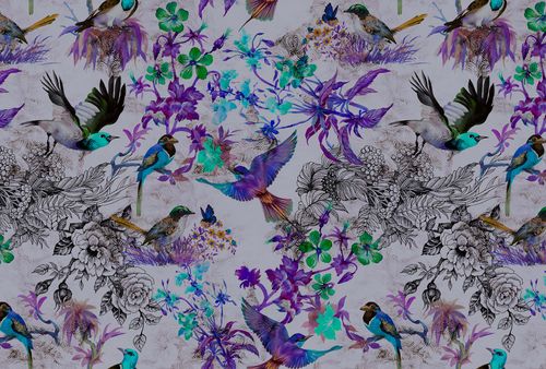 Fototapety funky birds 2 DD110181 Livingwalls Walls by Patel