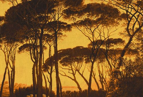 Fototapety Treetops3 DD117885 A.S. Création Atelier 47