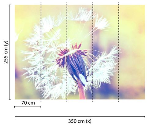 Fototapety Dandelion1 DD118594 A.S. Création Designwalls