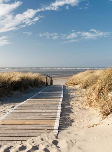 Fototapety On the Baltic Sea DD119127 A.S. Création Designwalls