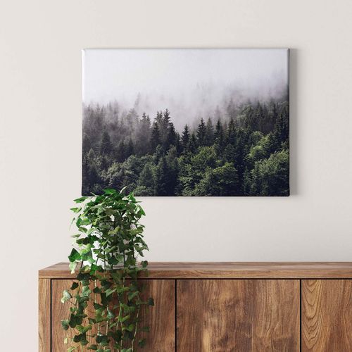 Potisk na plátno DD123024 Foggy Forest A.S. Création