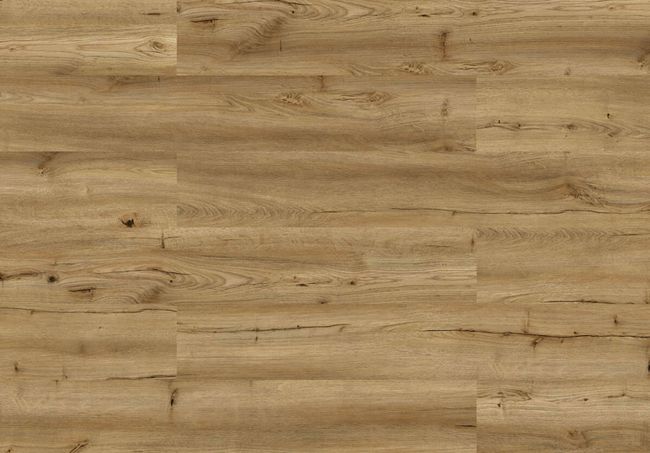 Cortex Designatura Basic "80004205 Dub Estoril"