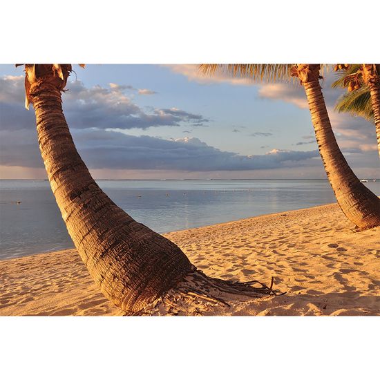 Fototapety Mauritius DD100331 A.S. Création XXL World Trip