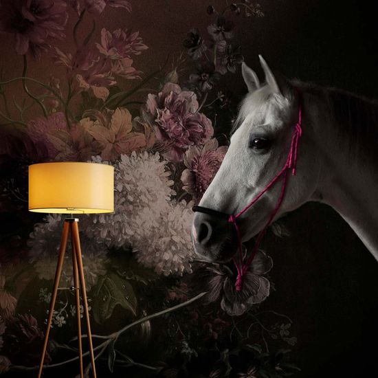 Fototapety horses 1 DD110641 Livingwalls Walls by Patel