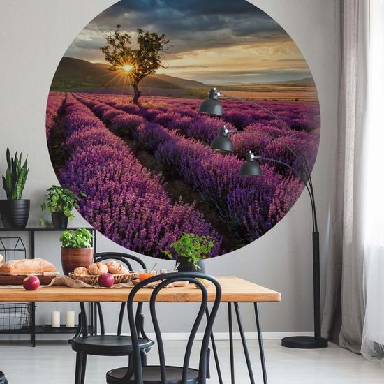 Fototapety Lavender in the Provence DD119192 A.S. Création Designwalls